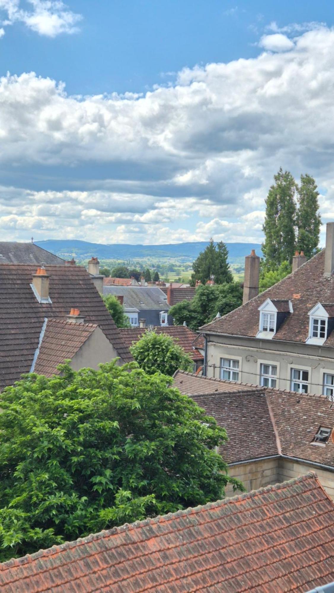 L'Arbre Voyageur Appartement Autun Buitenkant foto